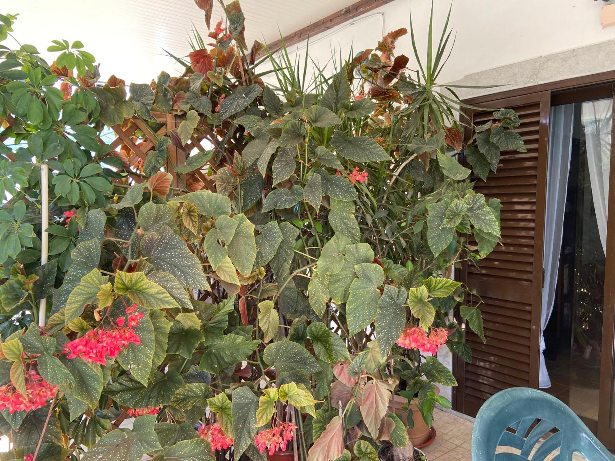 A Casa Da Maria Villa ลุซเดตาวิรา ภายนอก รูปภาพ